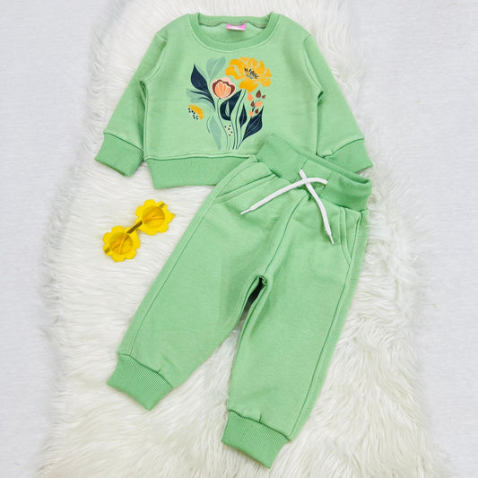 Pistachio Sweat Shirt Trouser Fleece